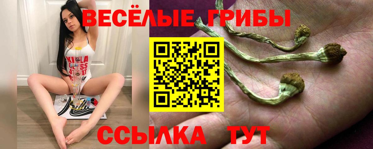 Партизанск  Псилоцибиновые грибы MAGIC MUSHROOMS  Вход с VPN 