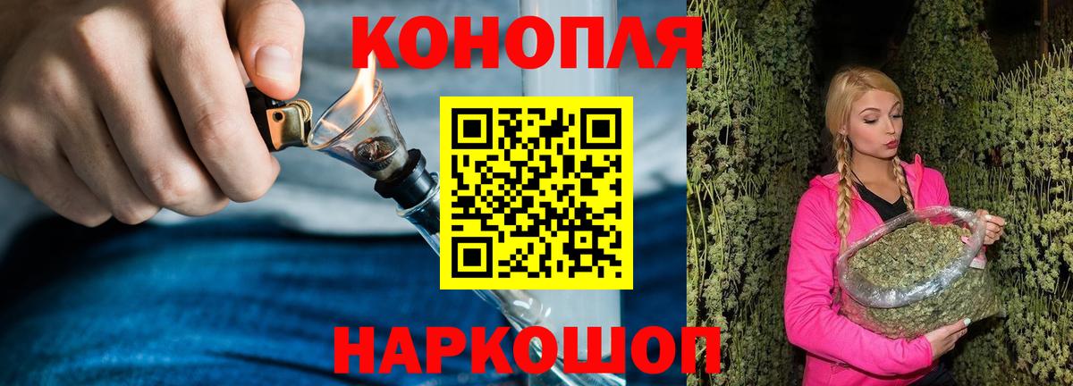 Бошки Шишки семена Партизанск