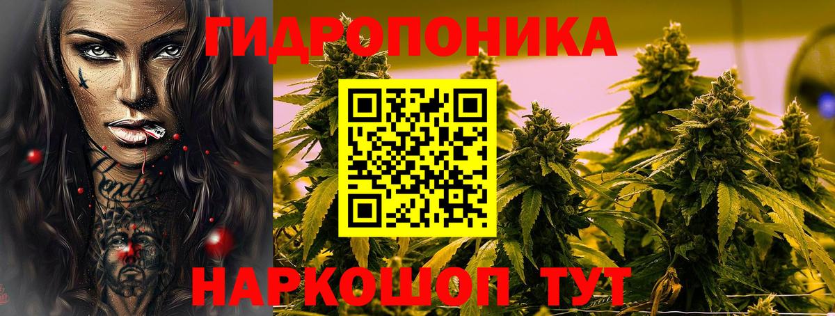 Бошки марихуана индика  Вход с VPN  Бошки марихуана семена  Партизанск  Канабис конопля  Шишки марихуана ГИДРОПОН 